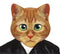 Giant Cat EVA Mask
