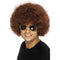 70s Funky Afro Brown Wig