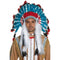 Authentic Western Indian Headdress