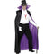 Count Reversible Cape. Black and Purple