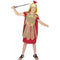 Roman Soldier Child Costume