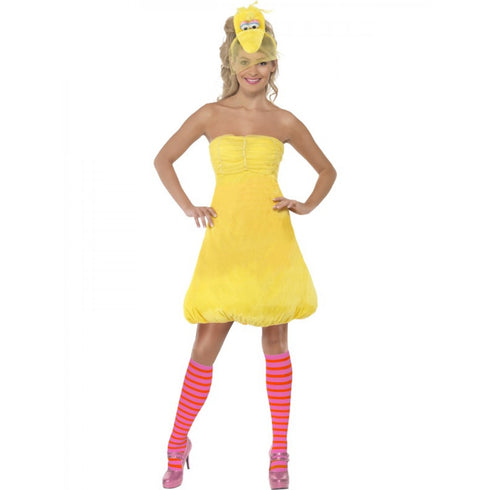Sesame Street Big Bird Costume