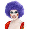 Crazy Clown Wig