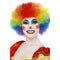 Crazy Clown Wig