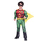 Robin Classic Costume