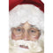 Wire Framed Santa Specs
