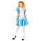 Alice in Wonderland Costume