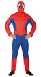 Adults Superhero "Spider Hero" Costume