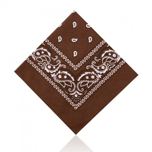 Paisley Bandana Brown