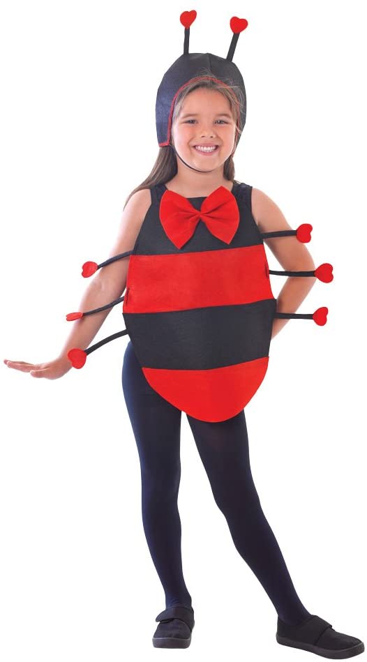 Ladybird Dress Up Kit