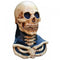 Mask Head and Neck Skull Long Neck Brown
