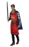 King Arthur Deluxe Costume