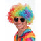 Rainbow Afro Wig
