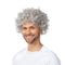 Afro Wig, Grey