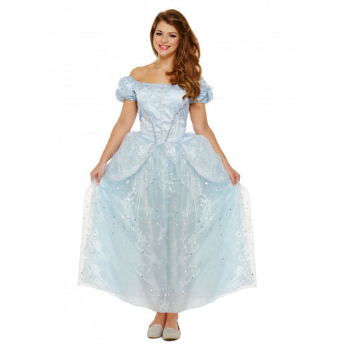 Adult Lost Shoe Princess Costume
