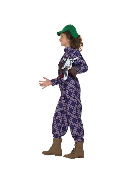 David Walliams Deluxe Awful Auntie Costume