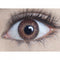 Mesmereyez Golden Brown Coloured Contacts