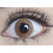 MesmerEyez Hazel Bronze Coloured Contacts