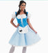 Adults Dorothy Costume