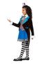 Little Miss Hatter Costume With Dress