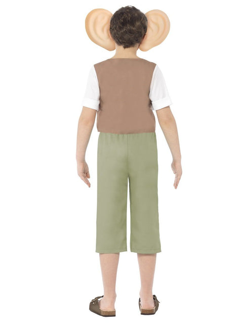 Roald Dahl The BFG Costume