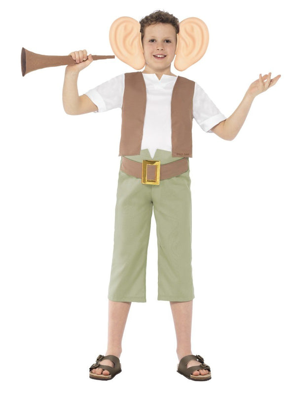 Roald Dahl The BFG Costume