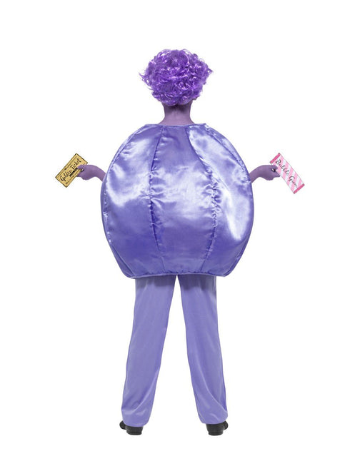 Child Violet Beauregarde Roald Dahl Costume