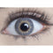 Mesmereyez Silky Grey Natural Coloured Contacts