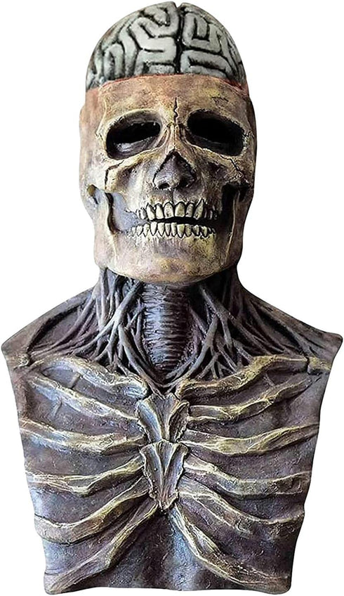 Biochemical Skeleton Head & Neck Latex Mask