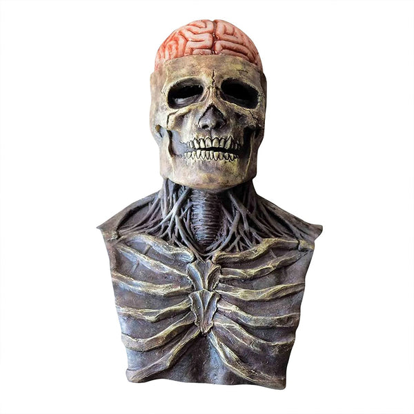 Biochemical Skeleton Full Head & Neck Latex Mask