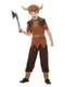 Boys Viking Costume