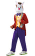 White Rabbit Alice In Wonderland Costume